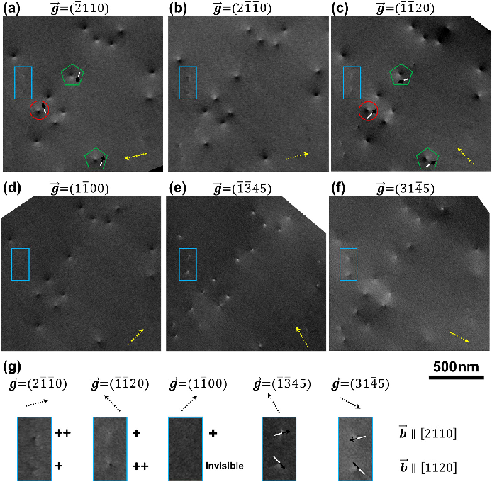 場發射掃描電鏡