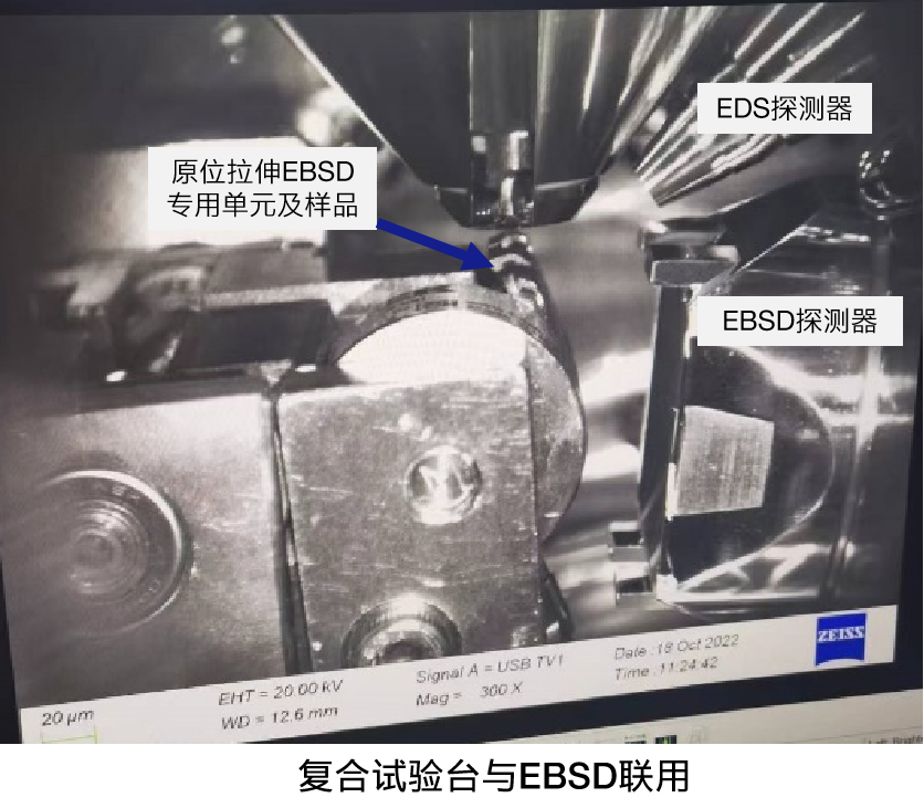 蔡司掃描電鏡GEMINI