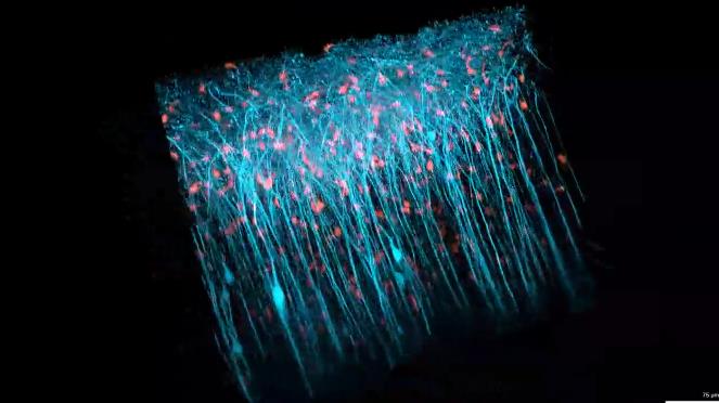 1749518479787885.jpg 360截圖20250610091912409.jpg