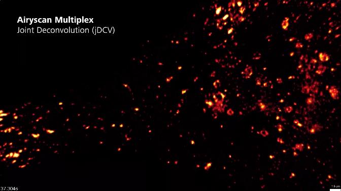 1749518542381851.jpg 360截圖20250610091947667.jpg